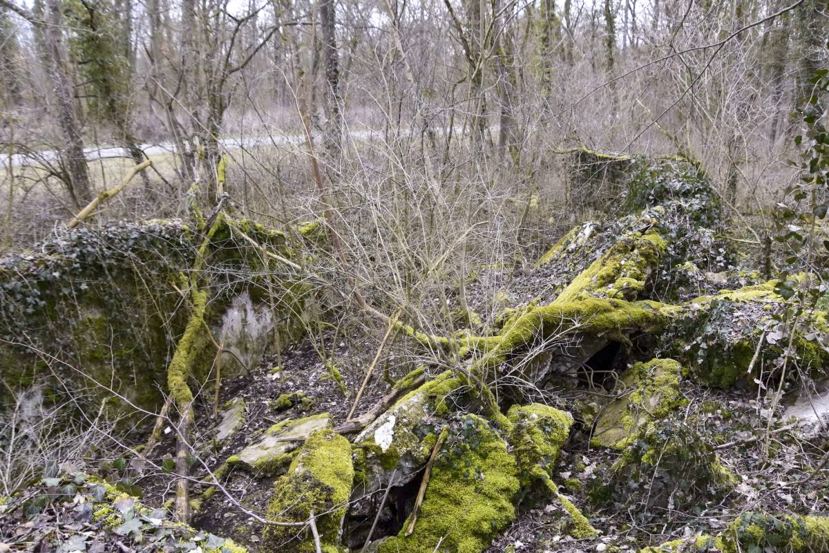 Ligne Maginot - RADBRUNNEN 2 - (Blockhaus pour canon) - Vue d'ensemble - D.Froehly