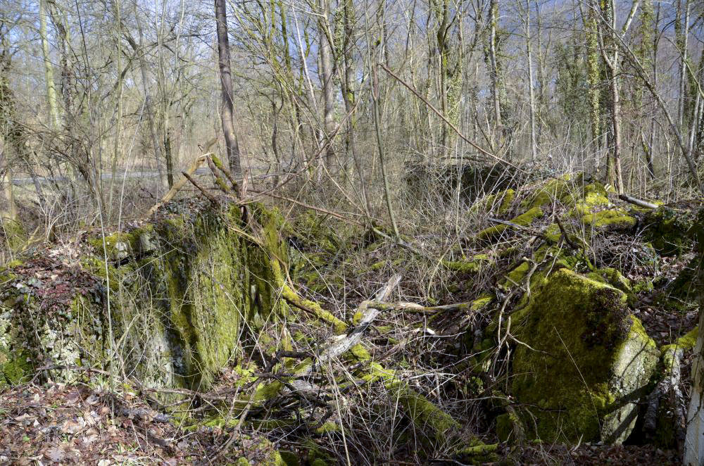 Ligne Maginot - RADBRUNNEN 2 - (Blockhaus pour canon) - Vue de l'ensemble en piteux état. A gauche le mur arrière, devant la dalle de 30 cm, au fond le mur latéral nord. - D. Froehly