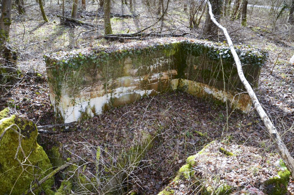 Ligne Maginot - RADBRUNNEN 2 - (Blockhaus pour canon) - Mur latéral sud, avec à gauche le mur droit  effondré et devant au centre l'entrée sud - D. Froehly