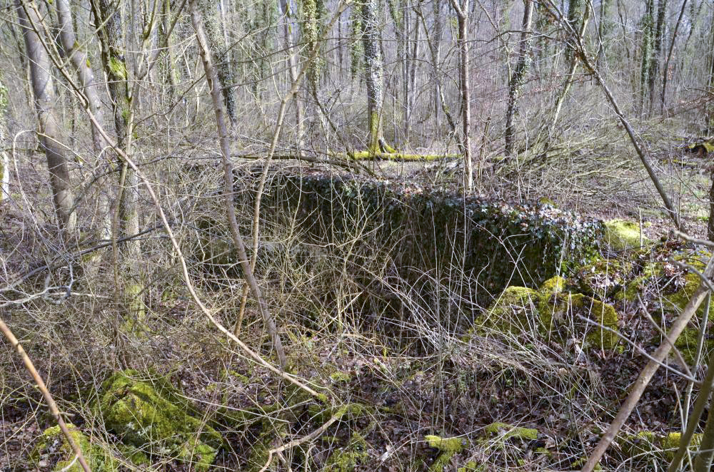 Ligne Maginot - RADBRUNNEN 2 - (Blockhaus pour canon) - Mur latéral nord - D. Froehly