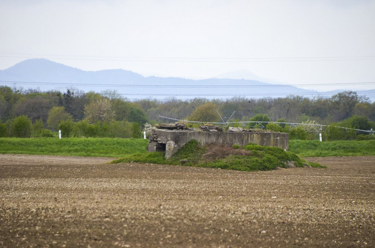 Ligne Maginot - RUMERSHEIMER WEG - (Blockhaus pour arme infanterie) -  - D. Froehly