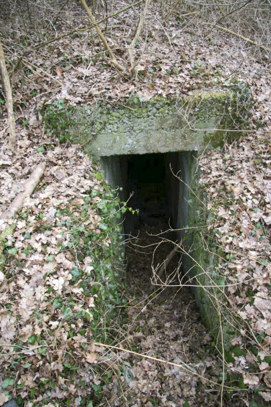 Ligne Maginot - STATION DE BANTZENHEIM 6 - (Abri) - Entrée 2 - Alain Perouffe