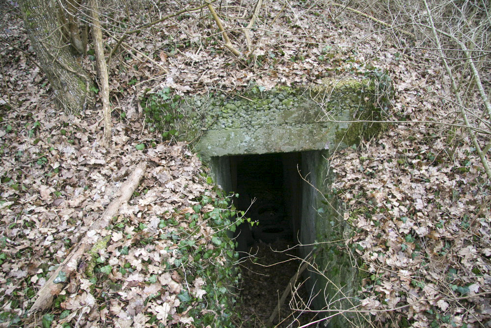 Ligne Maginot - STATION DE BANTZENHEIM 6 - (Abri) - Entrée 2 - Alain Perouffe