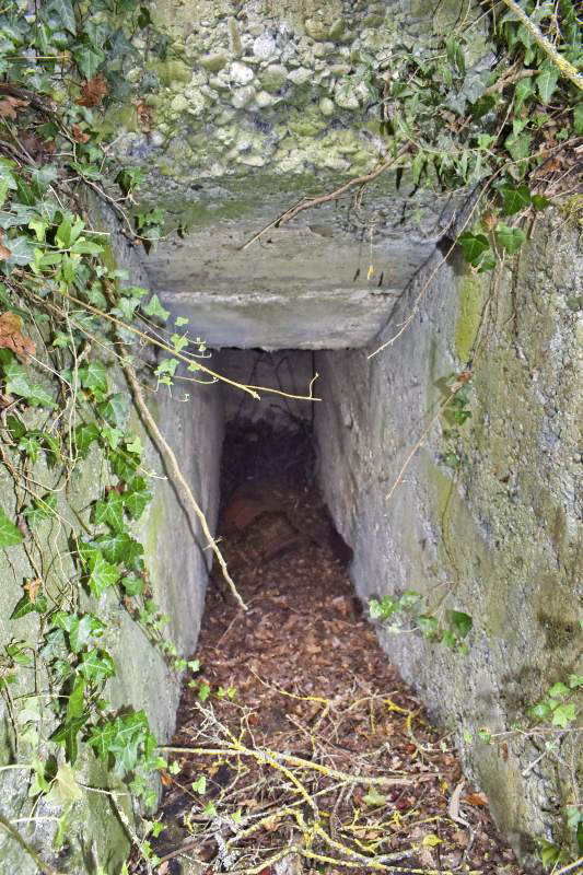 Ligne Maginot - STATION DE BANTZENHEIM 6 - (Abri) - Entrée Est - D.Froehly