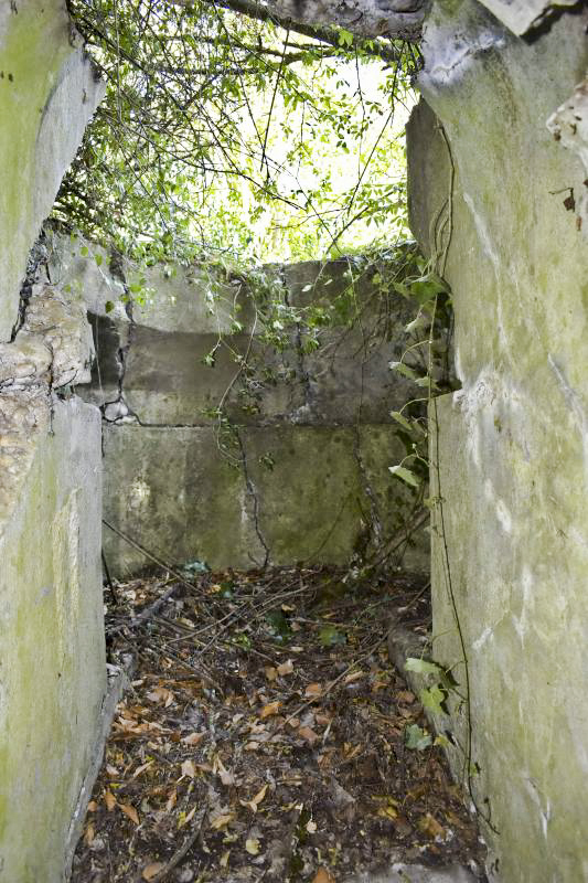 Ligne Maginot - STATION DE BANTZENHEIM 5 - (Cuve pour arme d'infanterie) - Cuve pour TD - D.Froehly