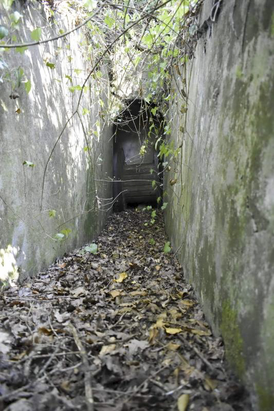 Ligne Maginot - STATION DE BANTZENHEIM 5 - (Cuve pour arme d'infanterie) - Entrée nord - D.Froehly