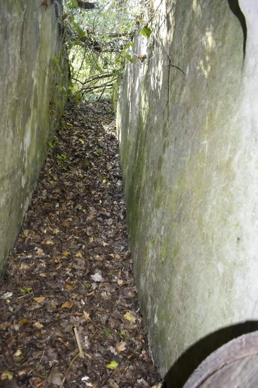 Ligne Maginot - STATION DE BANTZENHEIM 5 - (Cuve pour arme d'infanterie) - Entrée nord - D.Froehly