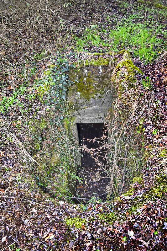 Ligne Maginot - VOIE-FERREE 3 - (Cuve pour arme d'infanterie) - Emplacement de la TD vue de l'extérieur. - Daniel Froehly