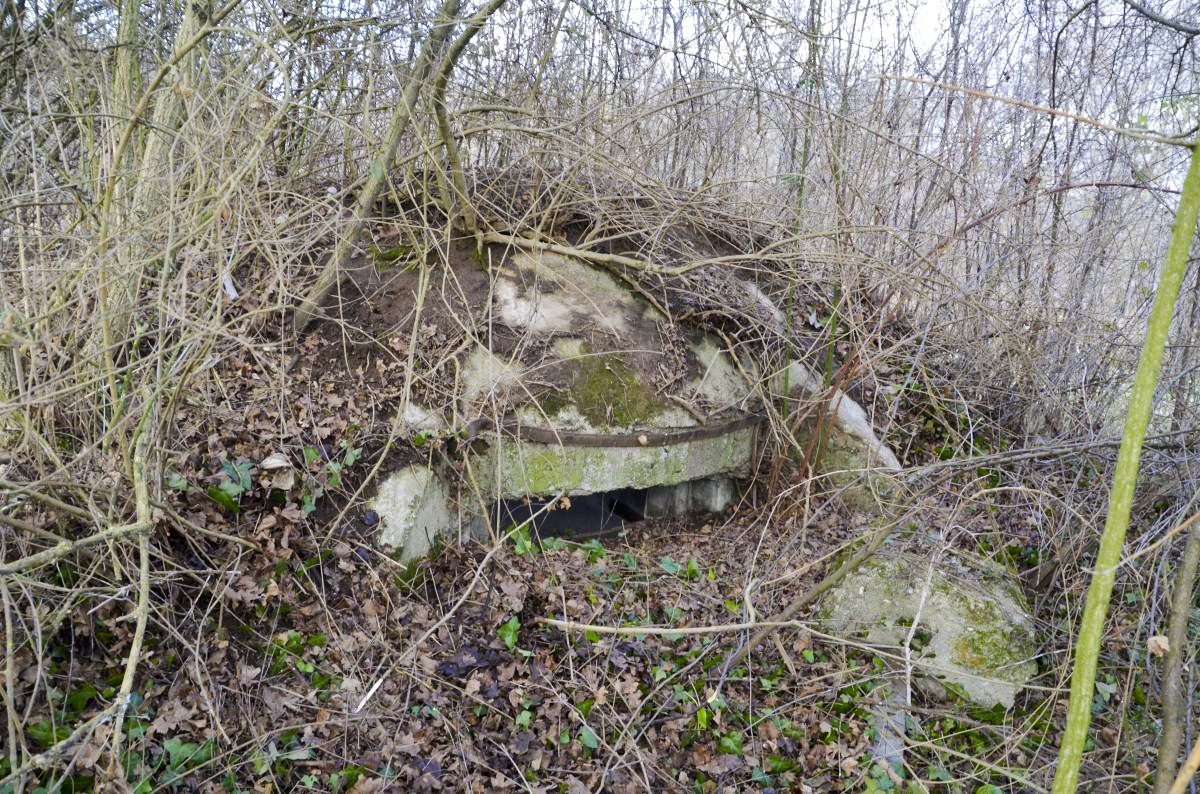 Ligne Maginot - SIERENTZ 4 - (Blockhaus pour arme infanterie) - Coupole - D. Froehly