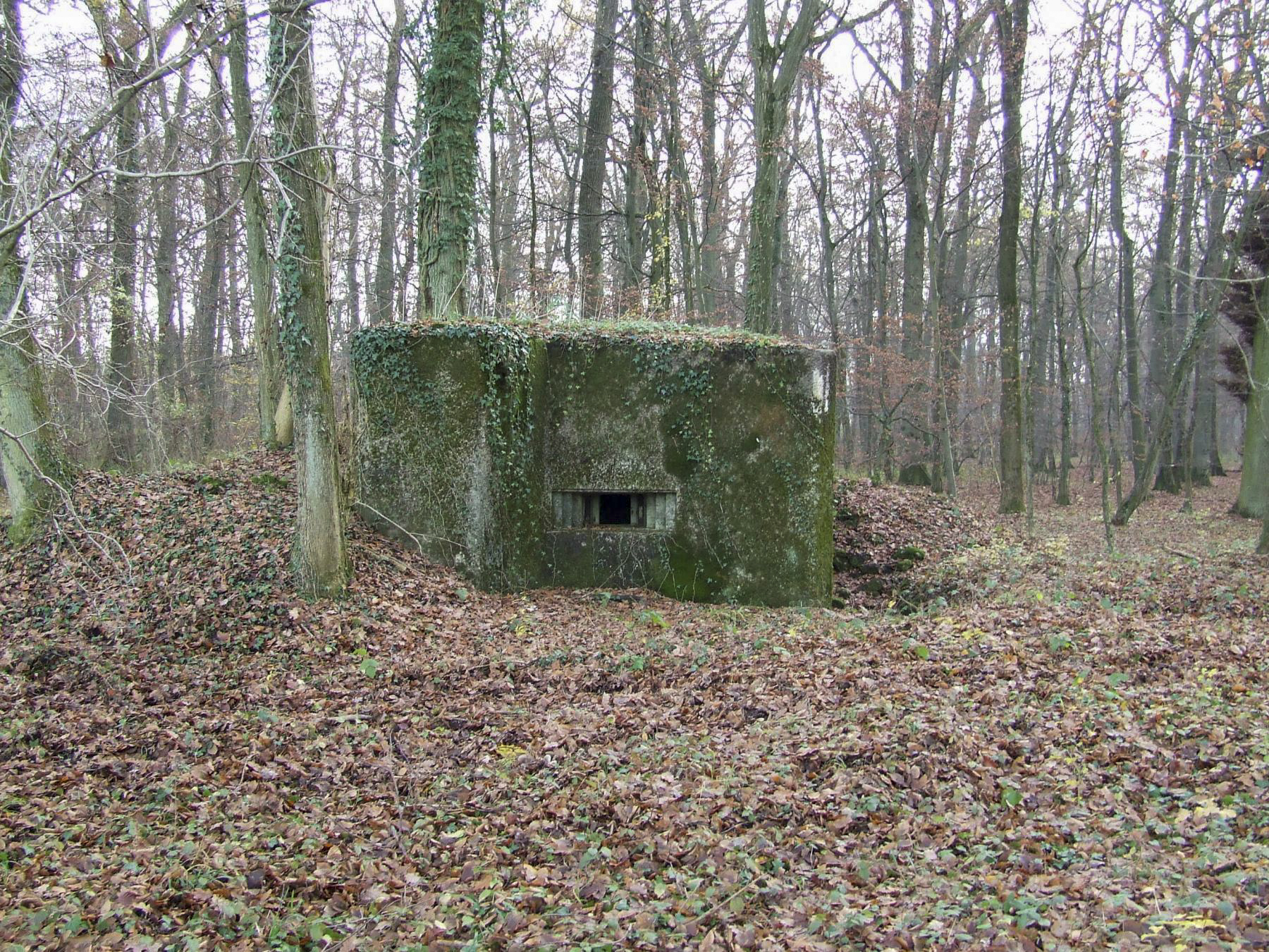 Ligne Maginot - STOCKEN 2 - (Blockhaus de type indeterminé) - Un blockhaus pour mitrailleuse - STENGER Mathieu