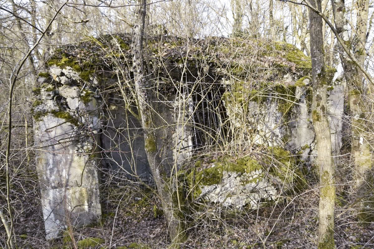 Ligne Maginot - ALTERGRUND 2 - (Abri) - Abri coté sud et l'entrée - D.Froehly