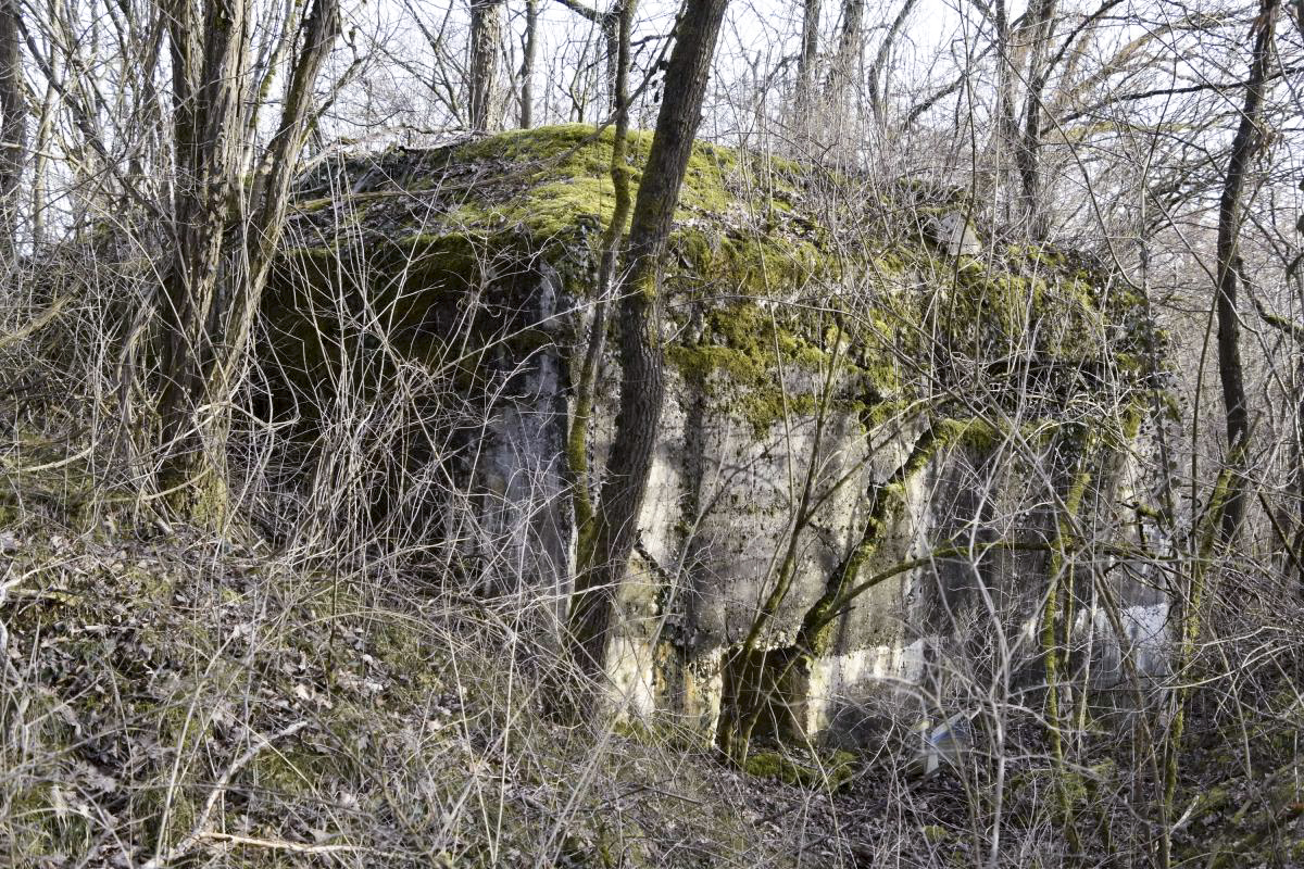 Ligne Maginot - ALTERGRUND 2 - (Abri) - Abri coté ouest 'avec l'issue de secours' - D.Froehly