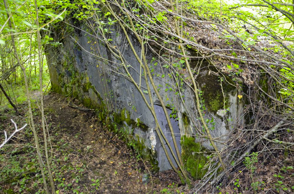 Ligne Maginot - KATZENPFAD - (Blockhaus pour arme infanterie) - Vue extérieure - Entrée - D. Froehly