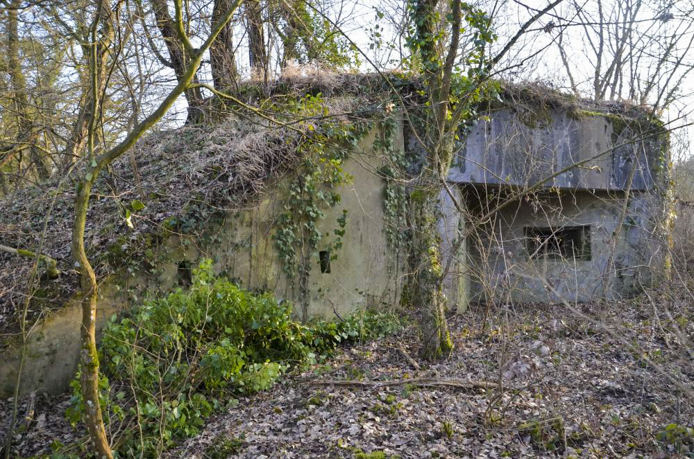 Ligne Maginot - 181 - KEMBS NORD 2 - (Blockhaus pour arme infanterie) - Vue sur le créneau mitrailleuse - D. Froehly