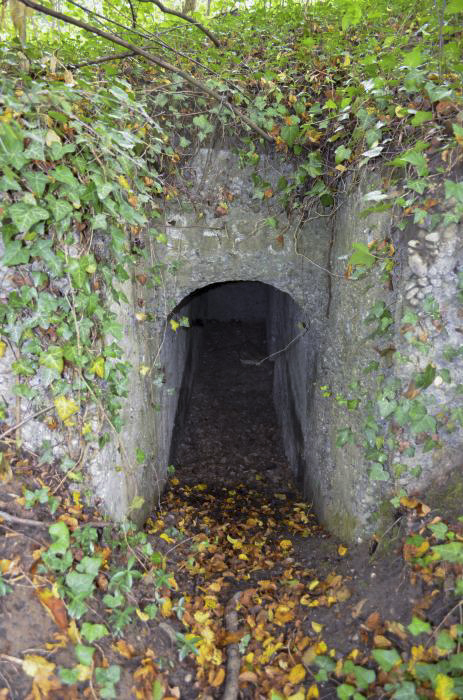 Ligne Maginot - KEMBS NORD 1 - (Blockhaus pour arme infanterie) -  - D. Froehly