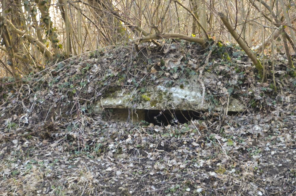 Ligne Maginot - KEMBS NORD 1 - (Blockhaus pour arme infanterie) - Vue extérieure de la coupole - D. Froehly