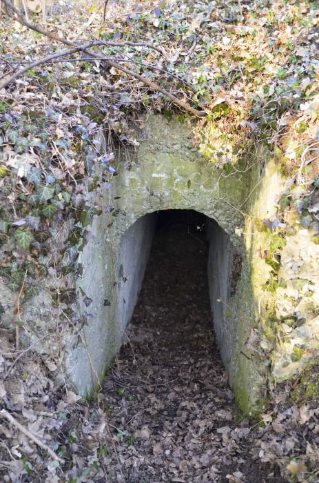 Ligne Maginot - KEMBS NORD 1 - (Blockhaus pour arme infanterie) -  - D. Froehly