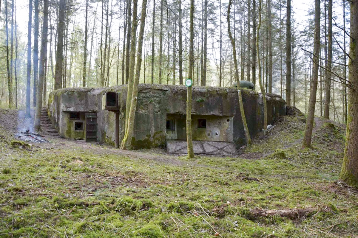 Ligne Maginot - WINECKERTHAL EST - (Casemate d'infanterie) - La casemate en 2018 après débrousaillage - KEMMEL Dominique