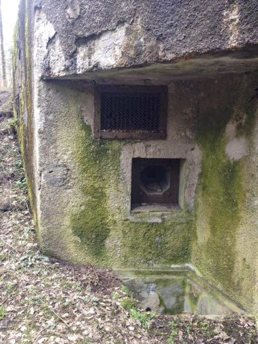 Ligne Maginot - WINECKERTHAL Est (Casemate d'infanterie) -  - EVA Philippe
