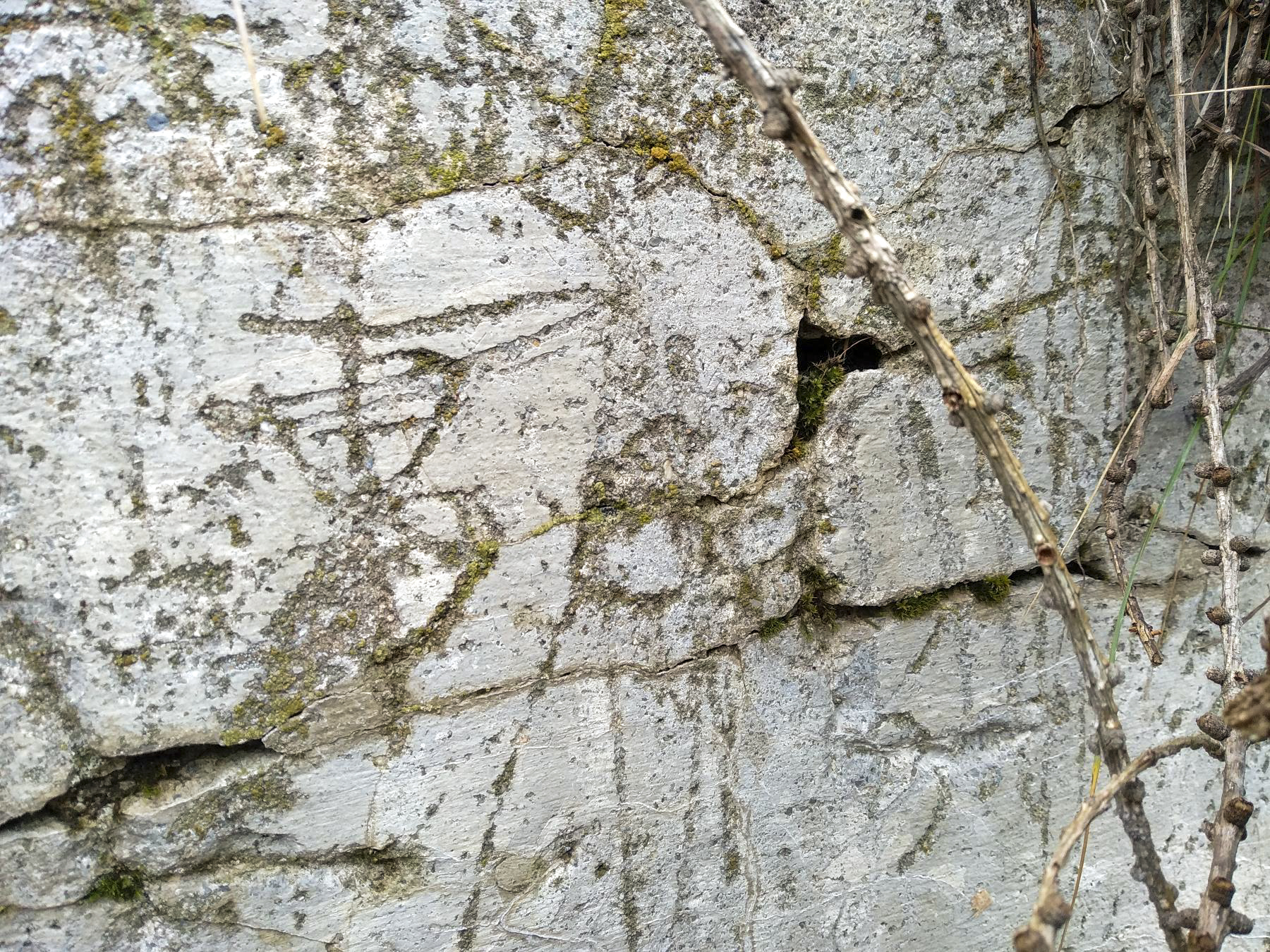 Ligne Maginot - CABANES VIEILLES (ABREUVOIR MILITAIRE) - (Divers) - Graffitis de plus sur l'abreuvoir - FisH
