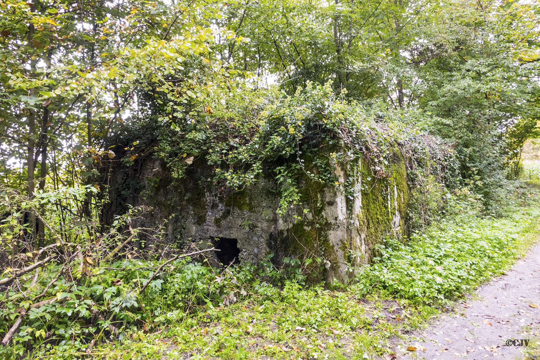 Ligne Maginot - PA DE SIERENTZ OUEST 2 - (Blockhaus pour arme infanterie) -  - Lia VERMEULEN