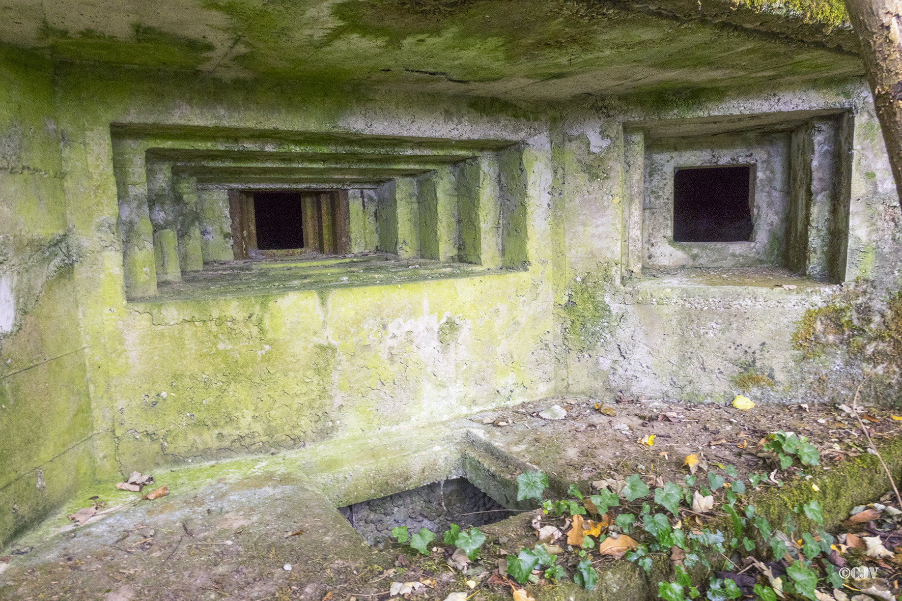 Ligne Maginot - PA DE SIERENTZ OUEST 2 - (Blockhaus pour arme infanterie) -  - Lia VERMEULEN