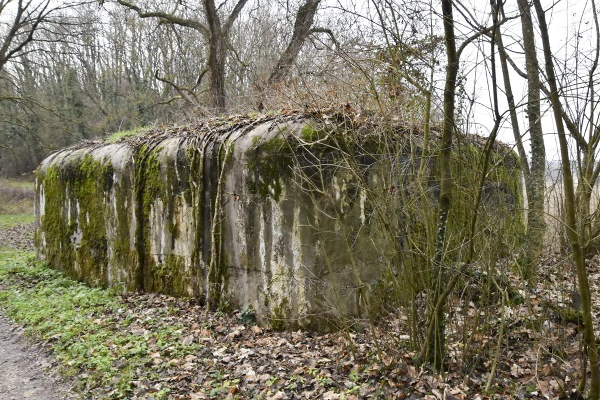 Ligne Maginot - PA DE SIERENTZ OUEST 2 - (Blockhaus pour arme infanterie) - Vue sur les deux cotés arrières - Daniel Froehly