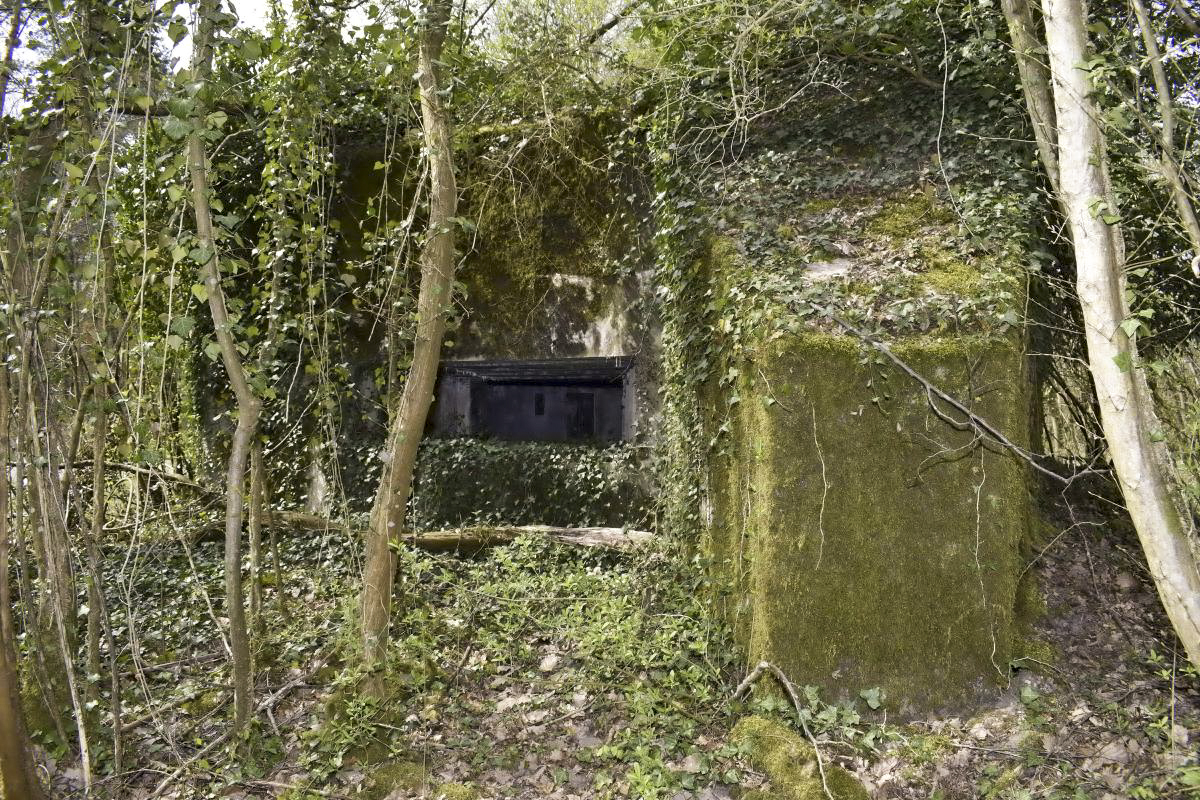 Ligne Maginot - PA DU CARREFOUR 243-1 - (Blockhaus pour canon) - Côté est - D. Froehly