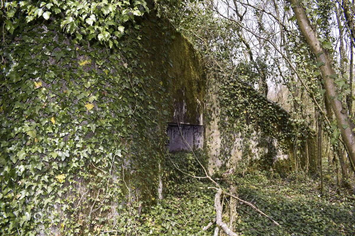 Ligne Maginot - PA DU CARREFOUR 243-1 - (Blockhaus pour canon) - Côté est - D. Froehly