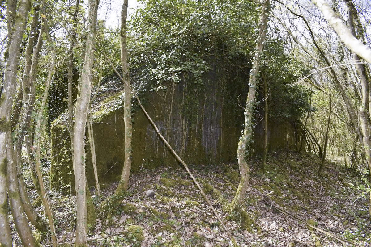 Ligne Maginot - PA DU CARREFOUR 243-1 - (Blockhaus pour canon) - Côté nord - D. Froehly