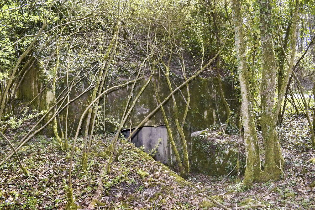 Ligne Maginot - PA DU CARREFOUR 243-1 - (Blockhaus pour canon) - Côté ouest - entrée du matériel - D. Froehly