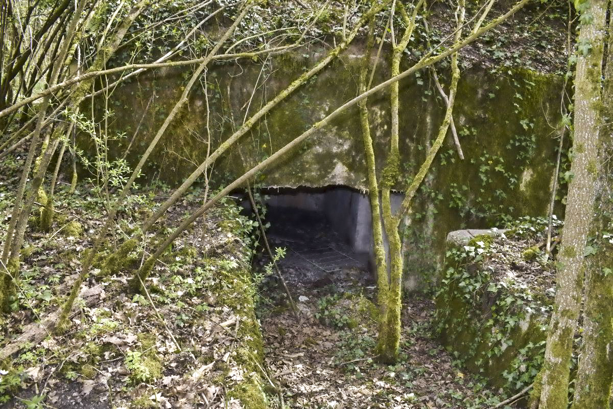 Ligne Maginot - PA DU CARREFOUR 243-1 - (Blockhaus pour canon) - Côté ouest - entrée du matériel - D. Froehly