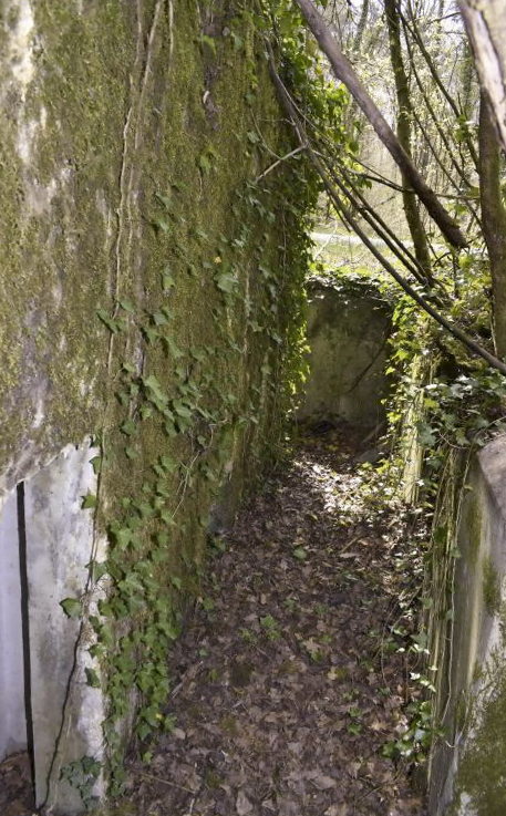 Ligne Maginot - PA DU CARREFOUR 243-1 - (Blockhaus pour canon) - Côté ouest - tranchée vers l'entrée des hommes - D. Froehly