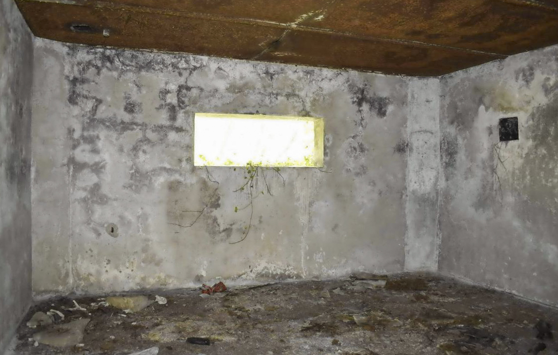 Ligne Maginot - PA DU CARREFOUR 243-1 - (Blockhaus pour canon) - Chambre de tir - D. Froehly