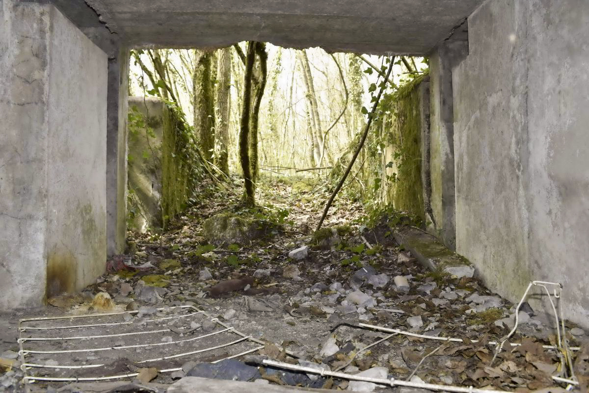 Ligne Maginot - PA DU CARREFOUR 243-1 - (Blockhaus pour canon) - Entrée matériel - D. Froehly