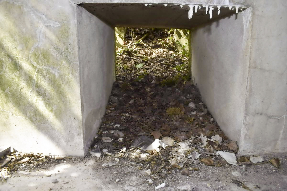 Ligne Maginot - PA DU CARREFOUR 243-1 - (Blockhaus pour canon) - Ouverture donnant sur la niche a munitions depuis l’extérieur. - D. Froehly