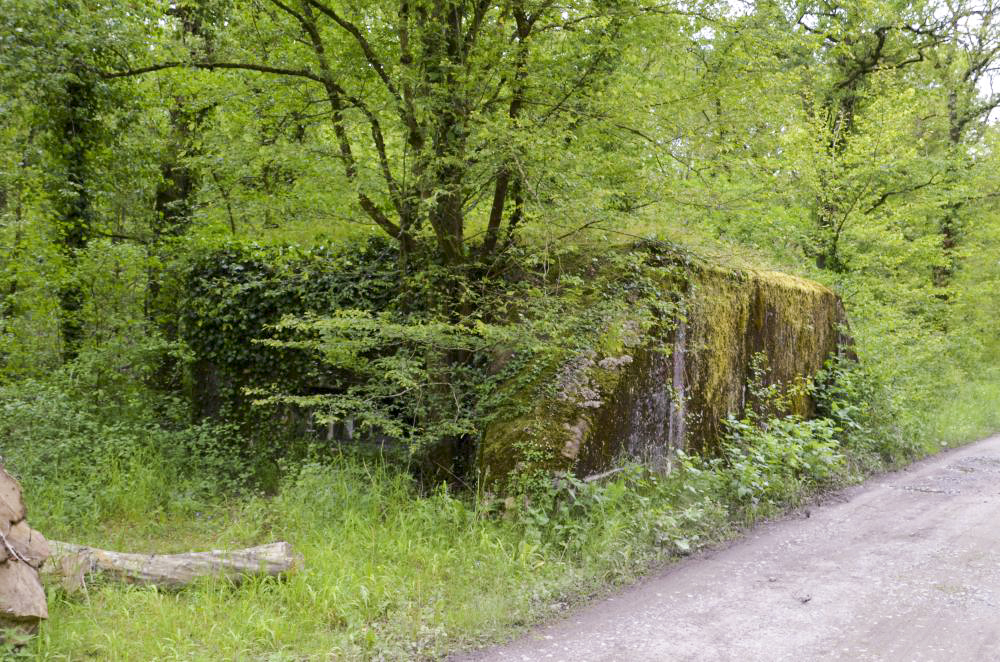 Ligne Maginot - CARREFOUR 237 - (Blockhaus pour canon) - Vue coté chemin forestier et créneau de tir - D. Froehly