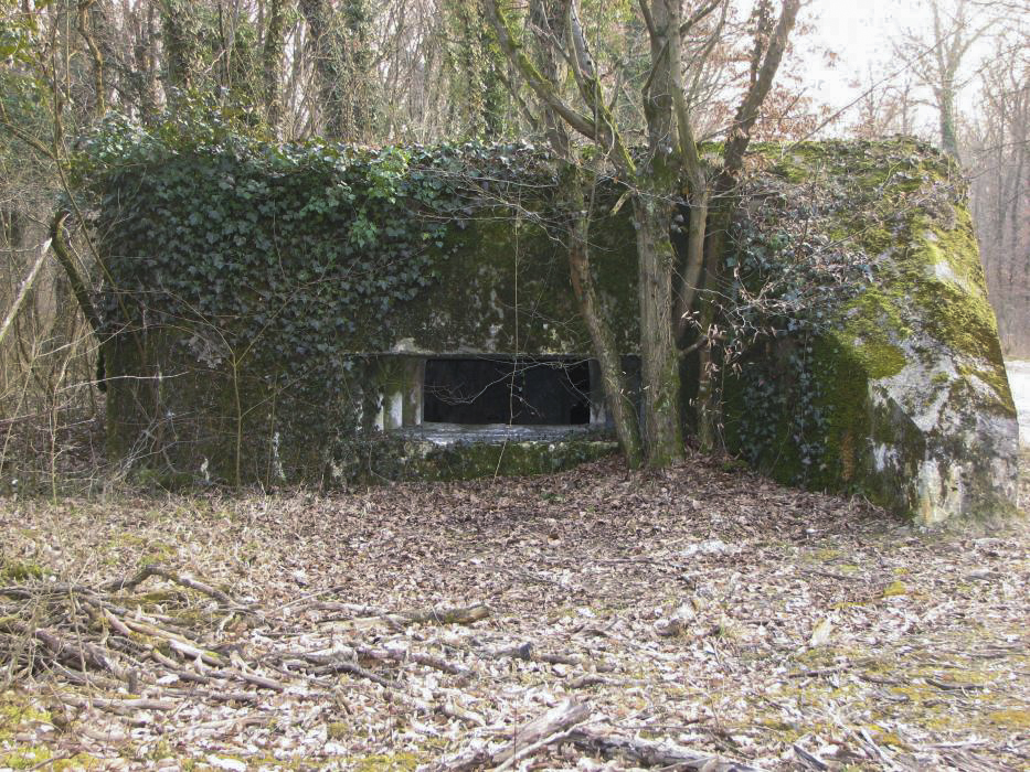 Ligne Maginot - CARREFOUR 237 - (Blockhaus pour canon) - Vue du créneau de tir - JF ALTHAUS