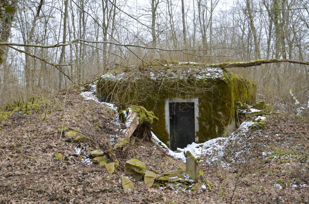 Ligne Maginot - PA DU CARREFOUR 248-6 - (Blockhaus pour arme infanterie) - L'entrée - D. Froehly