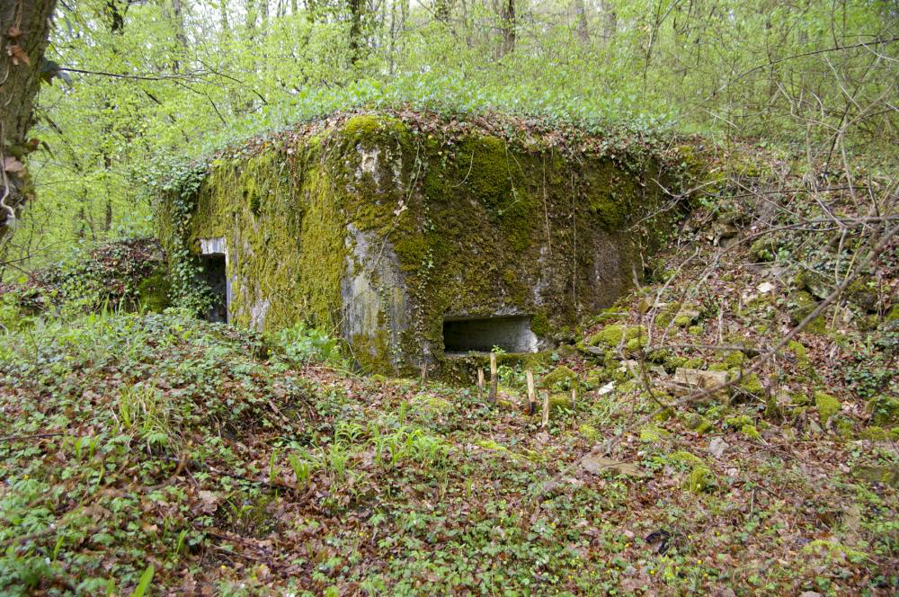 Ligne Maginot - PA DU CARREFOUR 248-4 - (Blockhaus pour arme infanterie) - Embrasure coté sud - D.Froehly