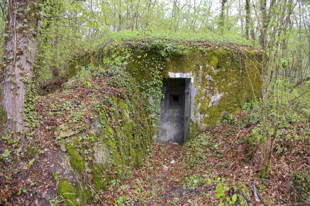 Ligne Maginot - PA DU CARREFOUR 248-4 - (Blockhaus pour arme infanterie) - Entrée - D.Froehly