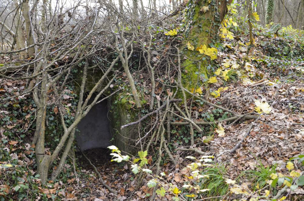 Ligne Maginot - PA DU CARREFOUR 252-1 - (Blockhaus pour arme infanterie) - Entrée de l'abri, les nettoyeurs étaient déjà passés pour ouvrir l'entrée. - D. Froehly