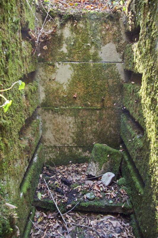 Ligne Maginot - PA KEMBS SUD 3 - (Blockhaus pour arme infanterie) - Vue sur les emplacements des marches, la première du bas est encore en place. - D.Froehly