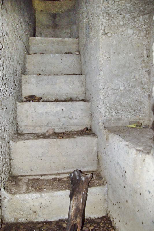 Ligne Maginot - PA KEMBS SUD 3 - (Blockhaus pour arme infanterie) - Escalier menant à la coupole et niche à munitions à droite - D.Froehly