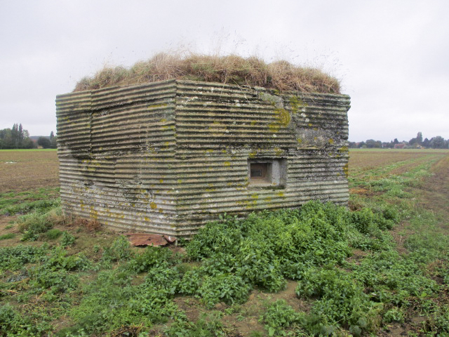 Ligne Maginot - BEF 383 - PIERRE PLATE - (Blockhaus pour arme infanterie) -  - Smardz Félix
