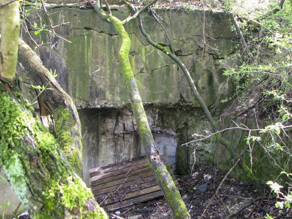 Ligne Maginot - PA NIFFER 1 - (Blockhaus pour canon) - Créneau de tir du blockhaus. - JF ALTHAUS