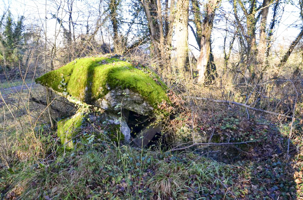 Ligne Maginot - PA PETIT-LANDAU 1 - (Blockhaus pour arme infanterie) - Coupole détruite, avec le créneau de tir visible - D. Froehly