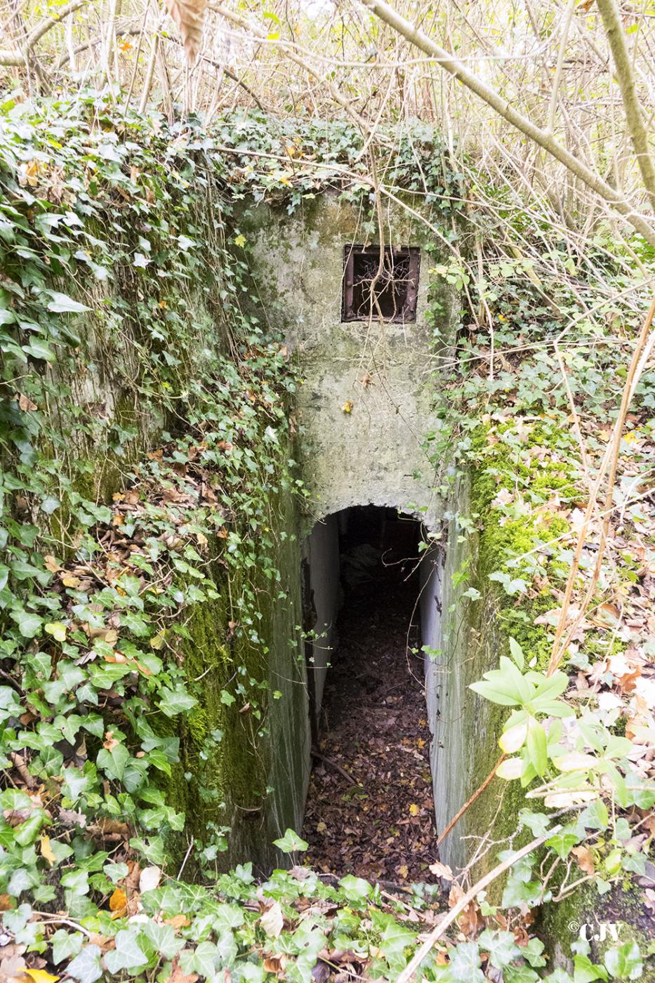 Ligne Maginot - PA PETIT-LANDAU 6 - (Blockhaus pour arme infanterie) -  - Lia VERMEULEN