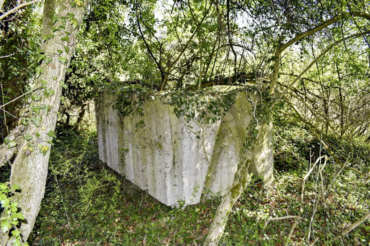 Ligne Maginot - PA PETIT-LANDAU 10 - (Abri) - Mur restant - D. Froehly