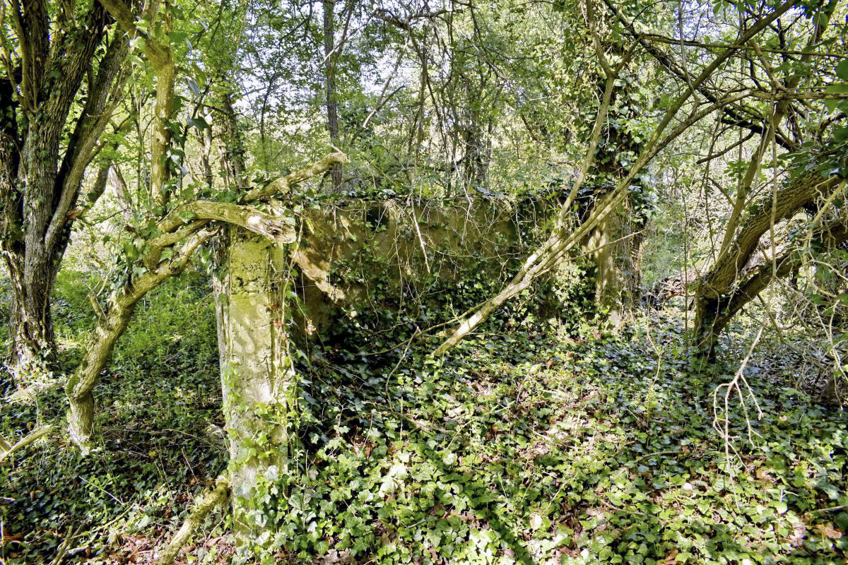 Ligne Maginot - PA PETIT-LANDAU 10 - (Abri) - Mur restant - D. Froehly